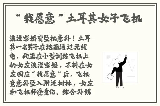盘他app下载免费软件